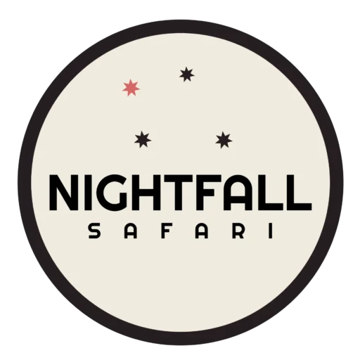 Nightfall Safari